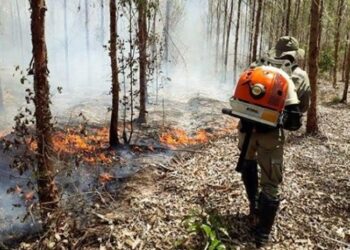 Parceria fortalece o enfrentamento aos incêndios florestais na Bahia