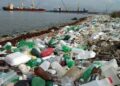 Poluição se torna ameaça crescente à vida nos oceanos; entenda os riscos