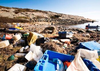 Projeto incentiva reúso e reciclagem de plástico por meio de economia circular