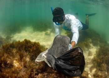 Meia tonelada de lixo é retirada de praia na Bahia com apoio de mergulhadores e estudantes