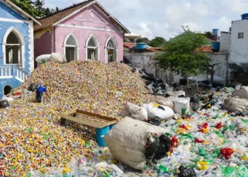 Carnaval e reciclagem: como contribuir com a preservação do meio ambiente durante a festa