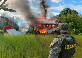 Ibama e Funai iniciam retomada do território Yanomami