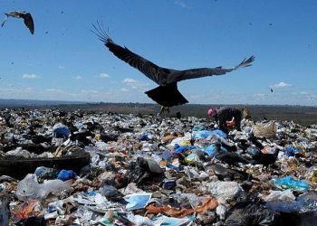 O lixo e a reciclagem: fonte de geração de emprego, renda e preservação ambiental