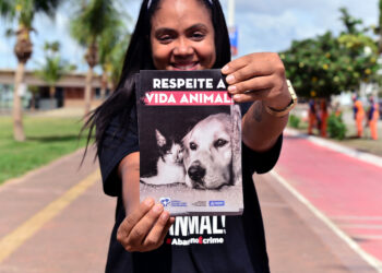 Câmeras de alta resolução são instaladas em Piatã para coibir abandono animal