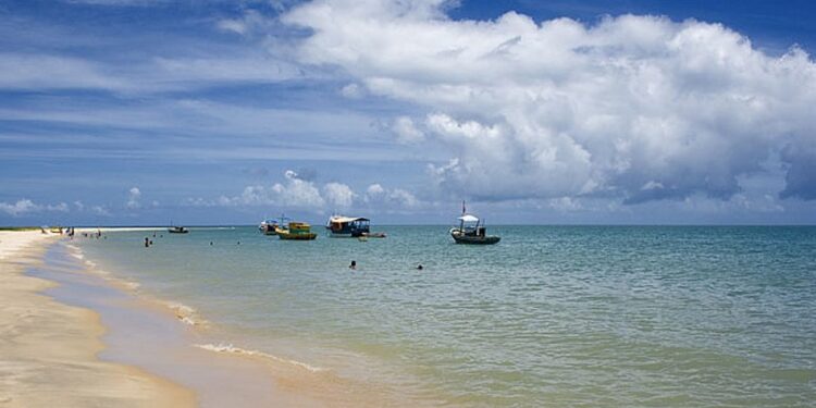 Projeto visa coletar pelo menos 50 mil garrafas de vidro em praias do sul baiano