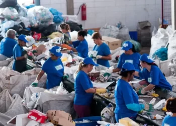 Um salto para os catadores e a economia circular no Brasil