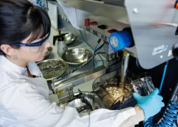 Mercado de reciclagem de baterias se prepara para boom do futuro