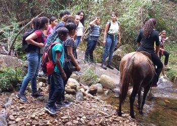 Educação Ambiental: Sisema alcança 3 milhões de pessoas em quase 30 mil atividades educativas realizadas em 2022