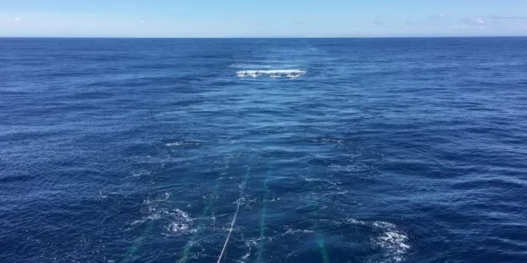 Reservatório de água é descoberto sob Pacífico — e pode explicar tremores