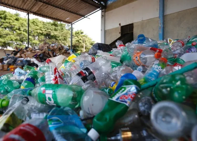 ‘Benevides Recicla’: programa cria moeda humanitária para incentivo à reciclagem na Grande Belém