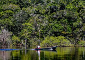 hepatite-delta-avanca-entre-ribeirinhos-no-amazonas