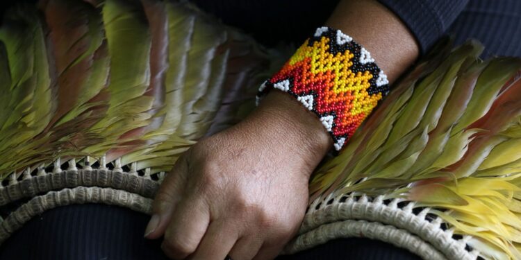 ao-menos-208-indigenas-foram-assassinados-no-brasil-em-2023