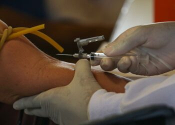 bahia-confirma-duas-mortes-por-febre-oropouche